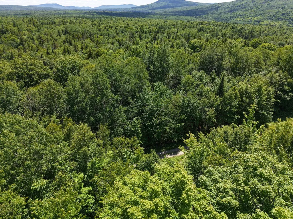 MSO3 L16 Flow Road Carrying Place Twp ME 04961