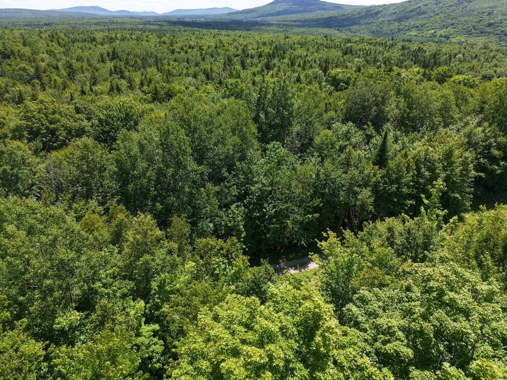 MSO3 L16 Flow Road Carrying Place Twp ME 04961