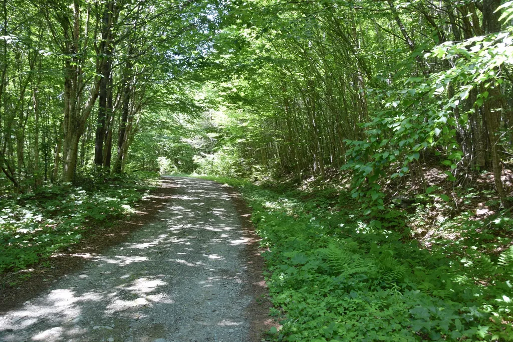 MSO3 L16 Flow Road Carrying Place Twp ME 04961