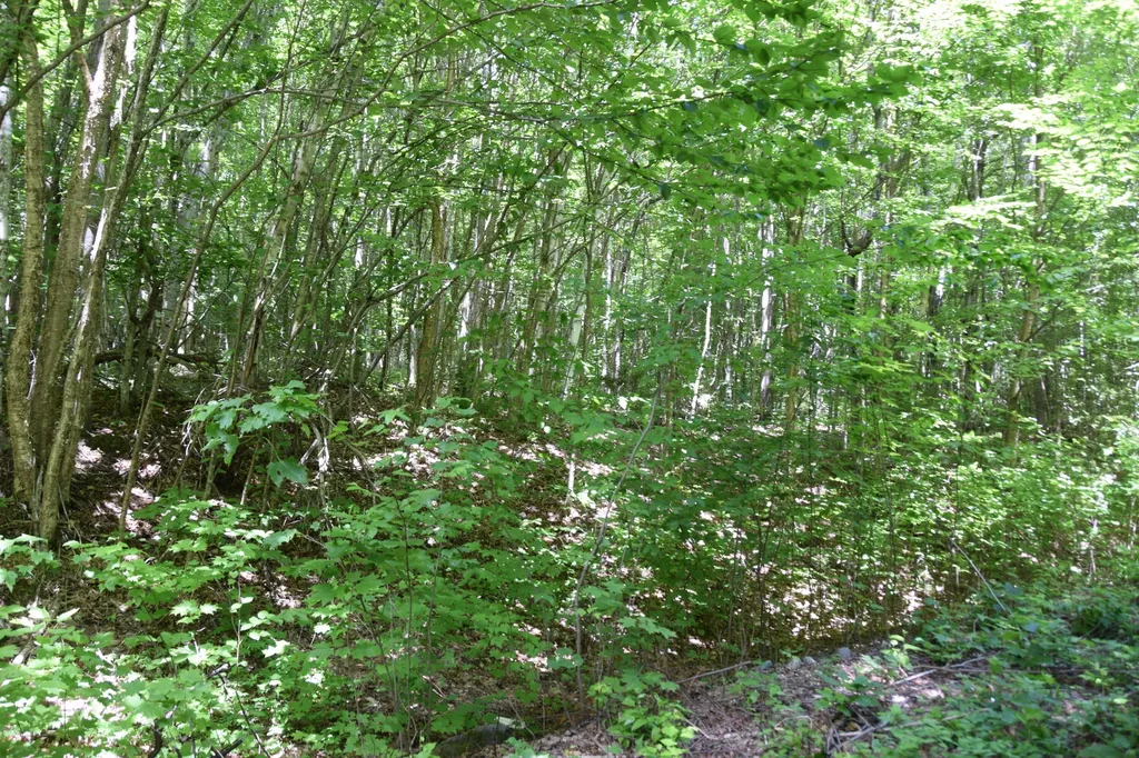 MSO3 L16 Flow Road Carrying Place Twp ME 04961