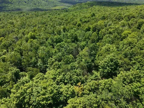MSO3 L16 Flow Road Carrying Place Twp ME 04961
