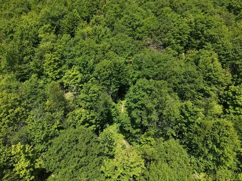MSO3 L16 Flow Road Carrying Place Twp ME 04961