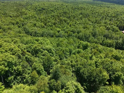 MSO3 L16 Flow Road Carrying Place Twp ME 04961