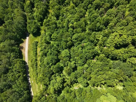 MSO3 L16 Flow Road Carrying Place Twp ME 04961