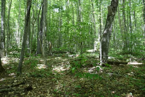 MSO3 L16 Flow Road Carrying Place Twp ME 04961