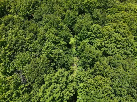MSO3 L16 Flow Road Carrying Place Twp ME 04961