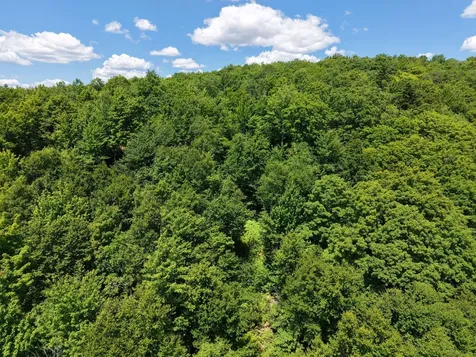 MSO3 L16 Flow Road Carrying Place Twp ME 04961