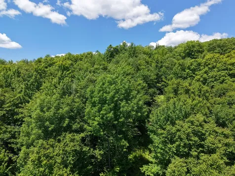 MSO3 L16 Flow Road Carrying Place Twp ME 04961