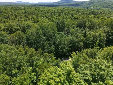 MSO3 L16 Flow Road Carrying Place Twp ME 04961