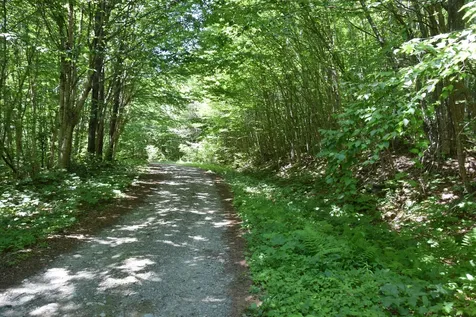 MSO3 L16 Flow Road Carrying Place Twp ME 04961