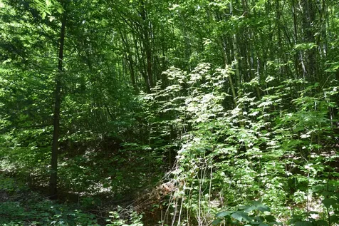 MSO3 L16 Flow Road Carrying Place Twp ME 04961