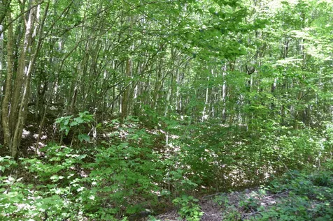 MSO3 L16 Flow Road Carrying Place Twp ME 04961