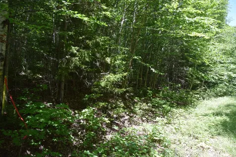 MSO3 L16 Flow Road Carrying Place Twp ME 04961