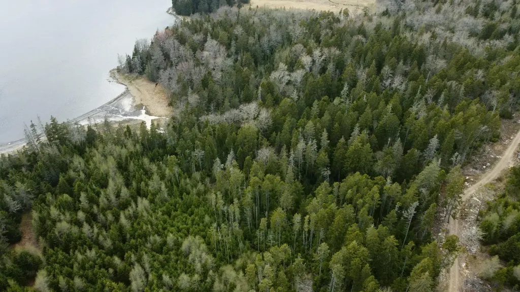 MAP6 Lot37 Back Woods Road Vinalhaven ME 04863