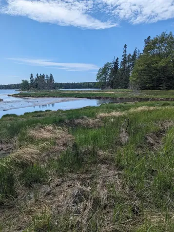MAP6 Lot37 Back Woods Road Vinalhaven ME 04863