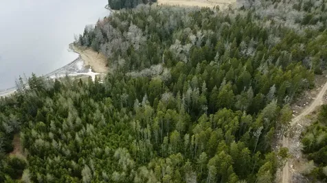 MAP6 Lot37 Back Woods Road Vinalhaven ME 04863
