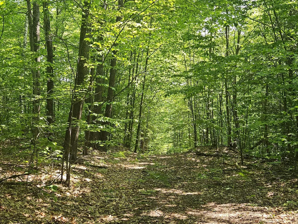 Lot 023-a Oak Hill Road Temple ME 04984