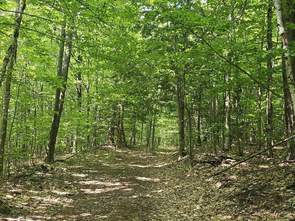 Lot 023-a Oak Hill Road Temple ME 04984