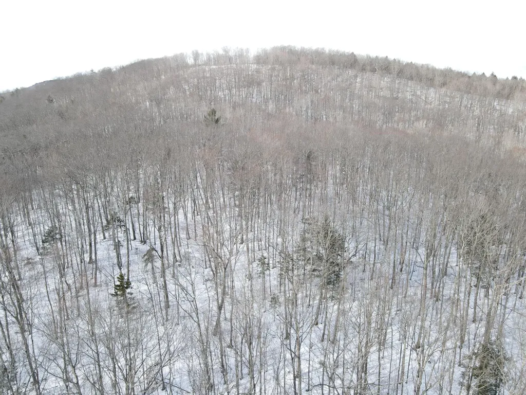 Lot 023-a Oak Hill Road Temple ME 04984
