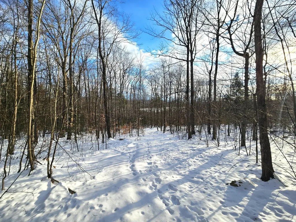 Lot 023-a Oak Hill Road Temple ME 04984