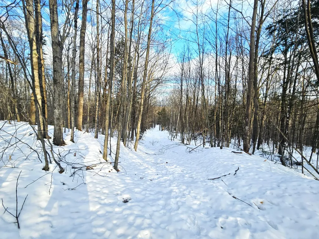Lot 023-a Oak Hill Road Temple ME 04984