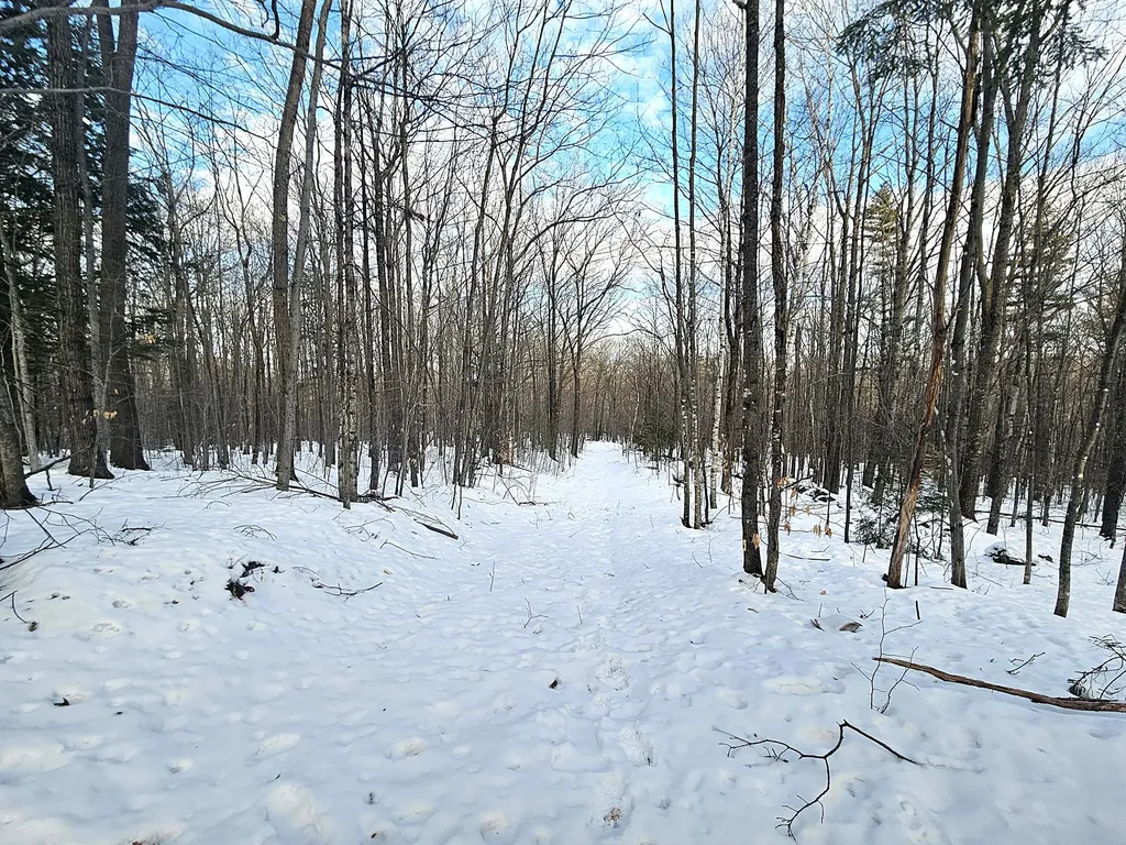 Lot 023-a Oak Hill Road Temple ME 04984