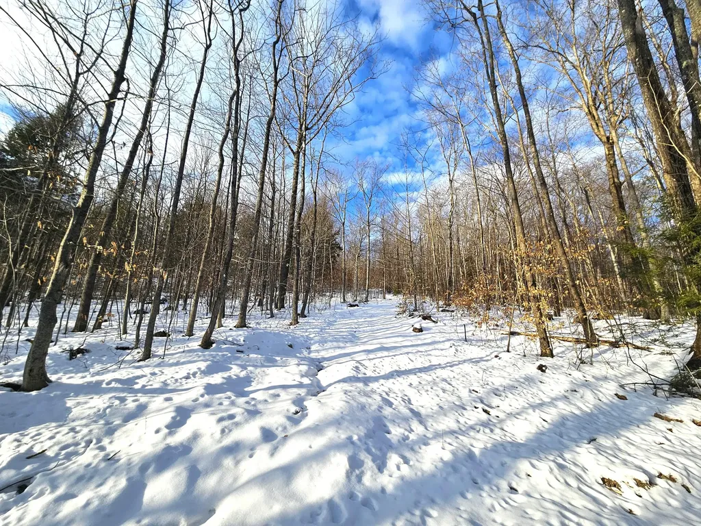 Lot 023-a Oak Hill Road Temple ME 04984