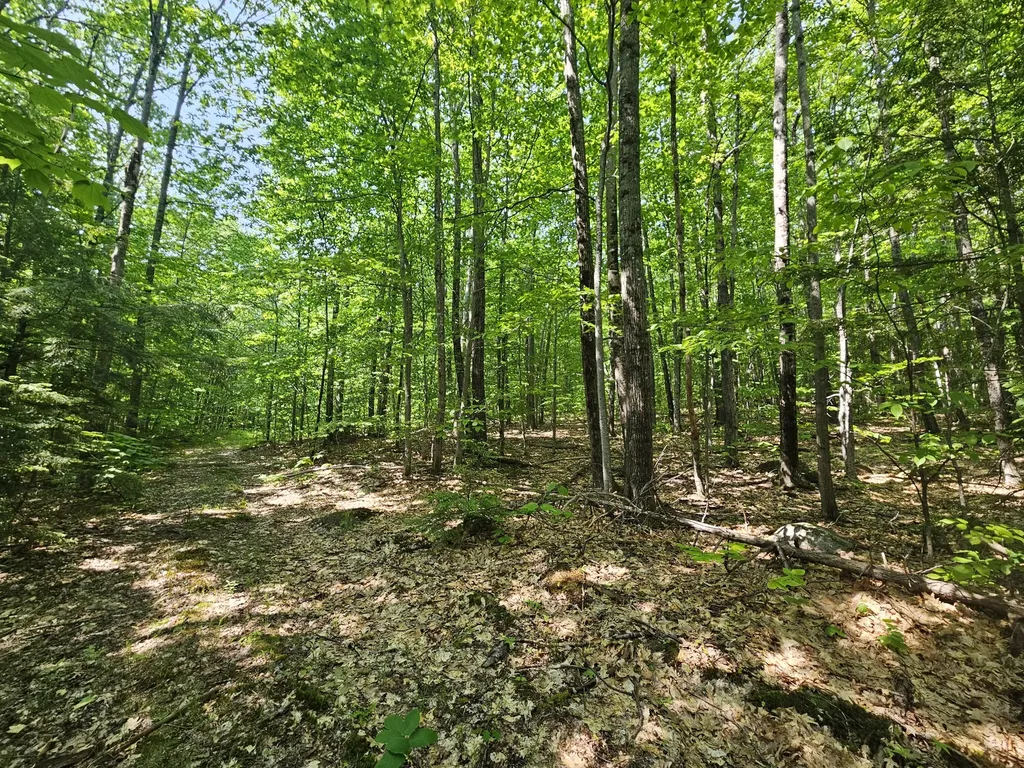 Lot 023-a Oak Hill Road Temple ME 04984