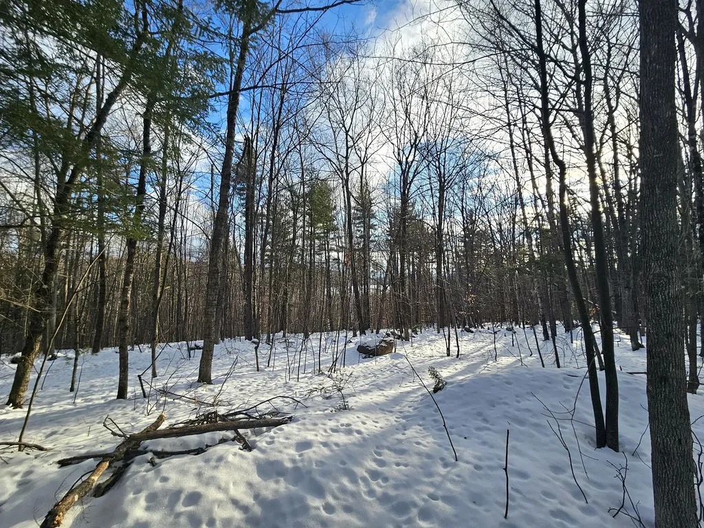Lot 023-a Oak Hill Road Temple ME 04984