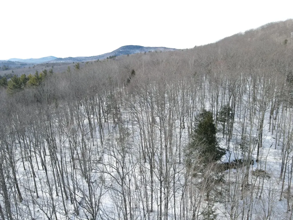 Lot 023-a Oak Hill Road Temple ME 04984
