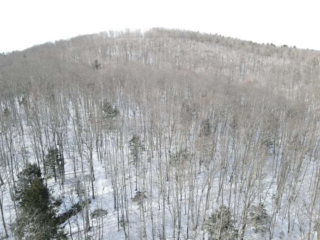 Lot 023-a Oak Hill Road Temple ME 04984
