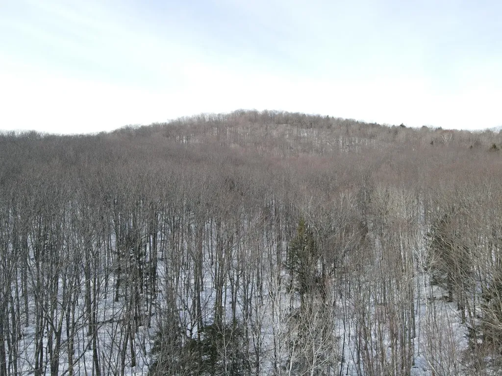 Lot 023-a Oak Hill Road Temple ME 04984