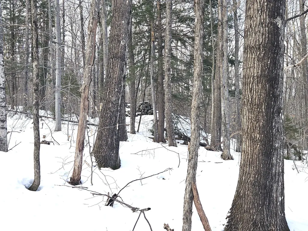 Lot 023-a Oak Hill Road Temple ME 04984
