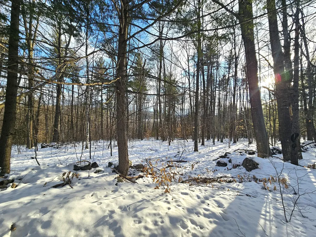 Lot 023-a Oak Hill Road Temple ME 04984