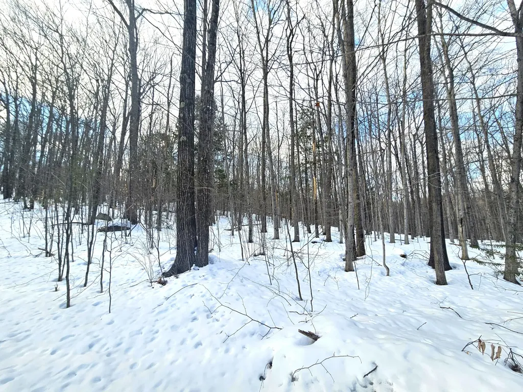 Lot 023-a Oak Hill Road Temple ME 04984