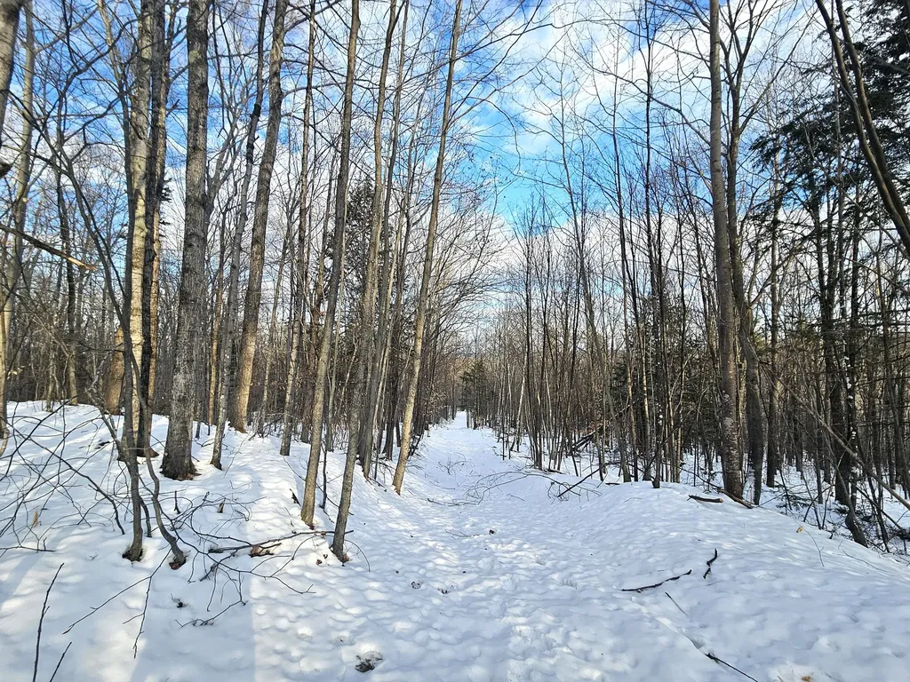 Lot 023-a Oak Hill Road Temple ME 04984