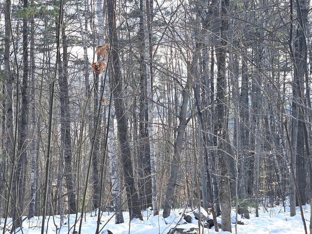 Lot 023-a Oak Hill Road Temple ME 04984