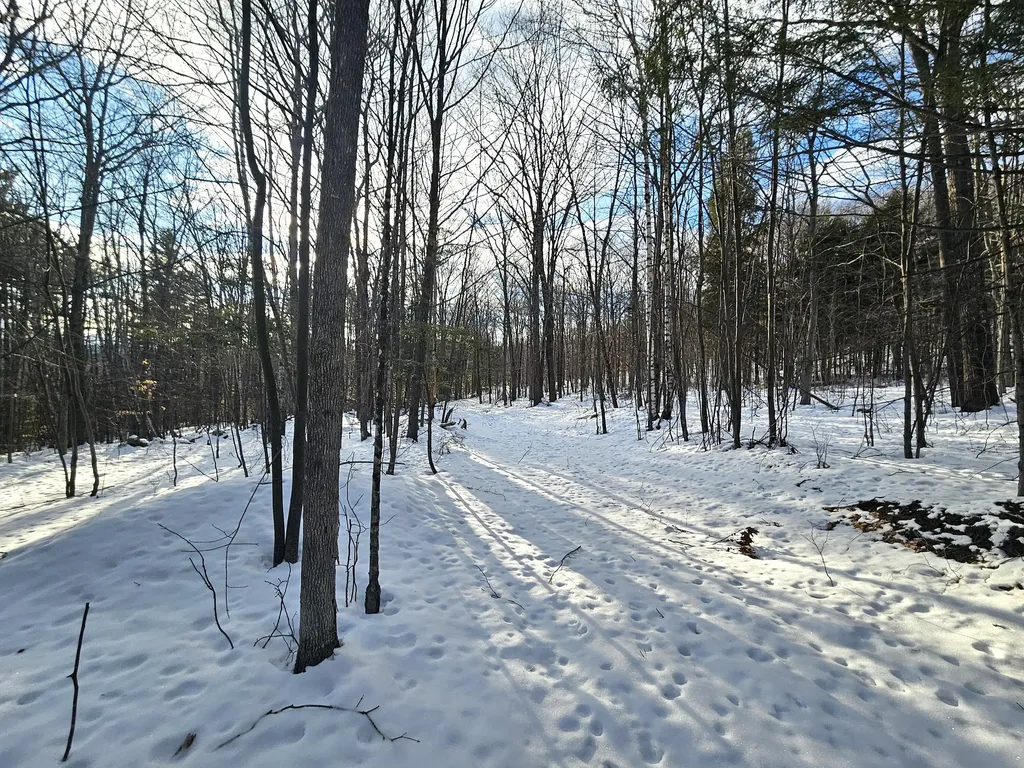 Lot 023-a Oak Hill Road Temple ME 04984