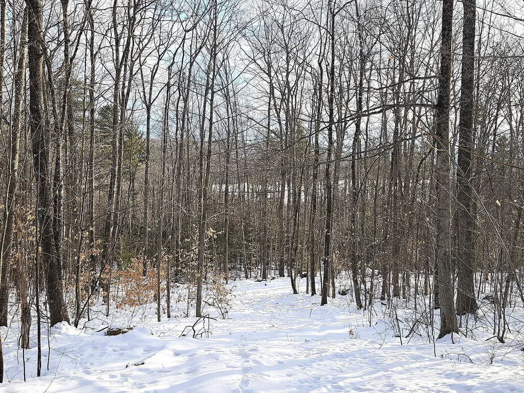 Lot 023-a Oak Hill Road Temple ME 04984
