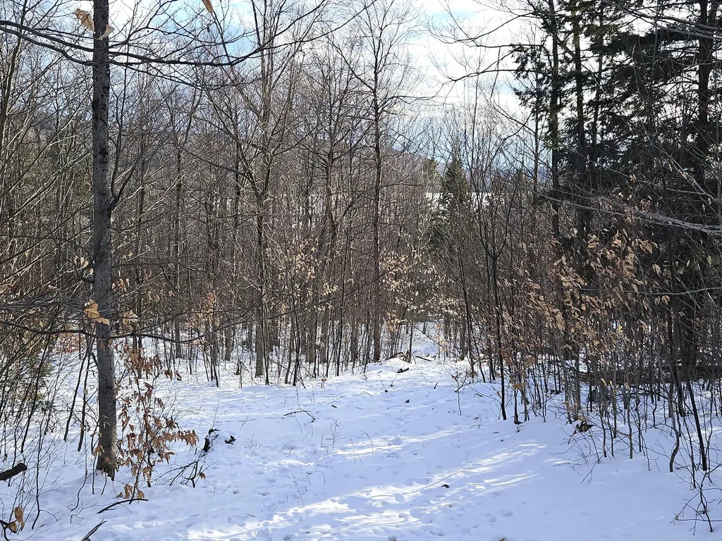 Lot 023-a Oak Hill Road Temple ME 04984