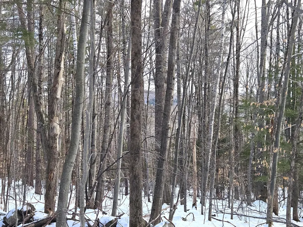 Lot 023-a Oak Hill Road Temple ME 04984