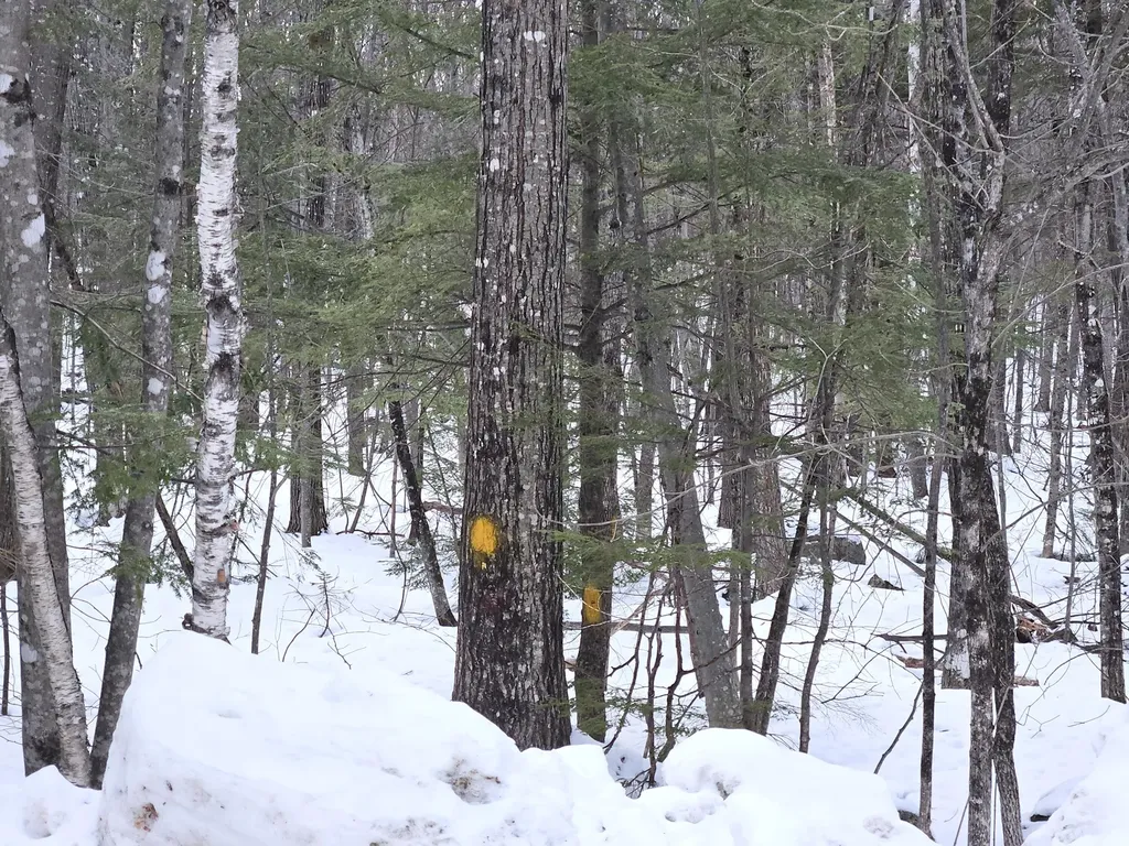 Lot 023-a Oak Hill Road Temple ME 04984