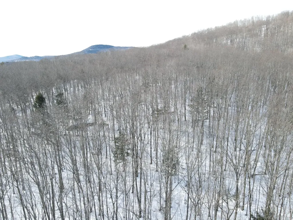 Lot 023-a Oak Hill Road Temple ME 04984