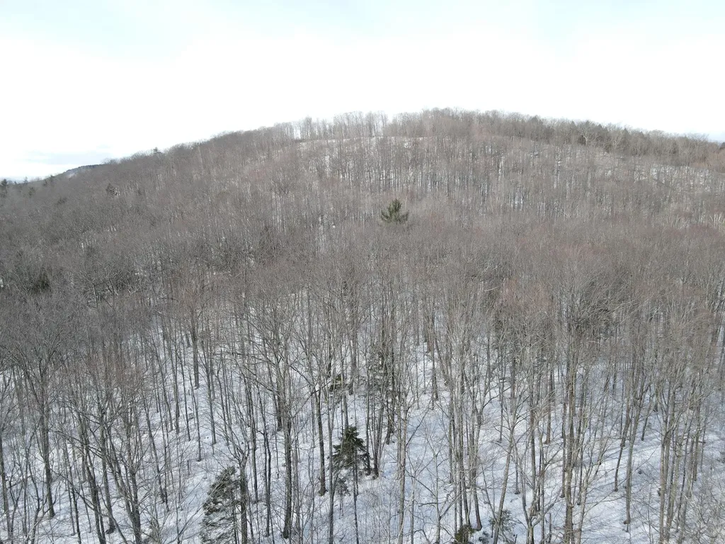 Lot 023-a Oak Hill Road Temple ME 04984