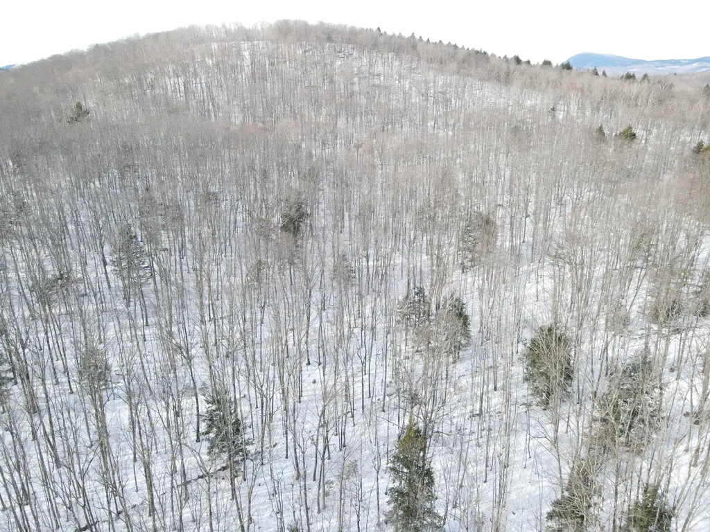 Lot 023-a Oak Hill Road Temple ME 04984