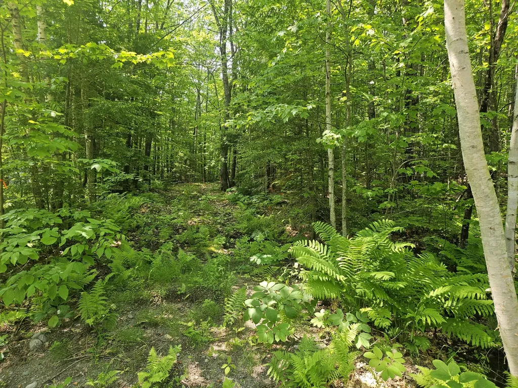 Lot 023-a Oak Hill Road Temple ME 04984