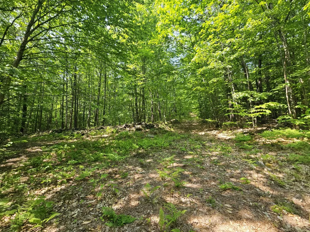 Lot 023-a Oak Hill Road Temple ME 04984