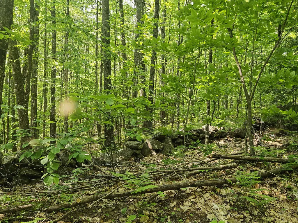 Lot 023-a Oak Hill Road Temple ME 04984
