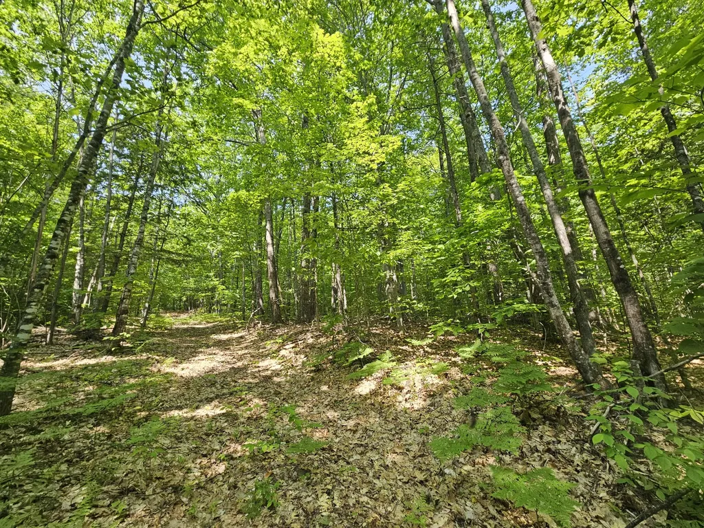 Lot 023-a Oak Hill Road Temple ME 04984