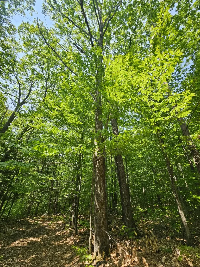 Lot 023-a Oak Hill Road Temple ME 04984
